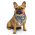 Demisexual Pride Wave Bandana